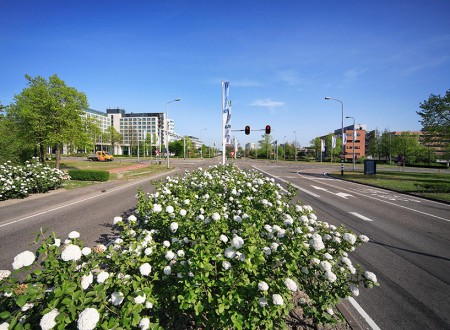 Chipshol-Park-Rijk-03